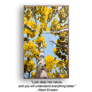 Llew - Spiritiles - Glass Over Copper - "Depth Perception" #208