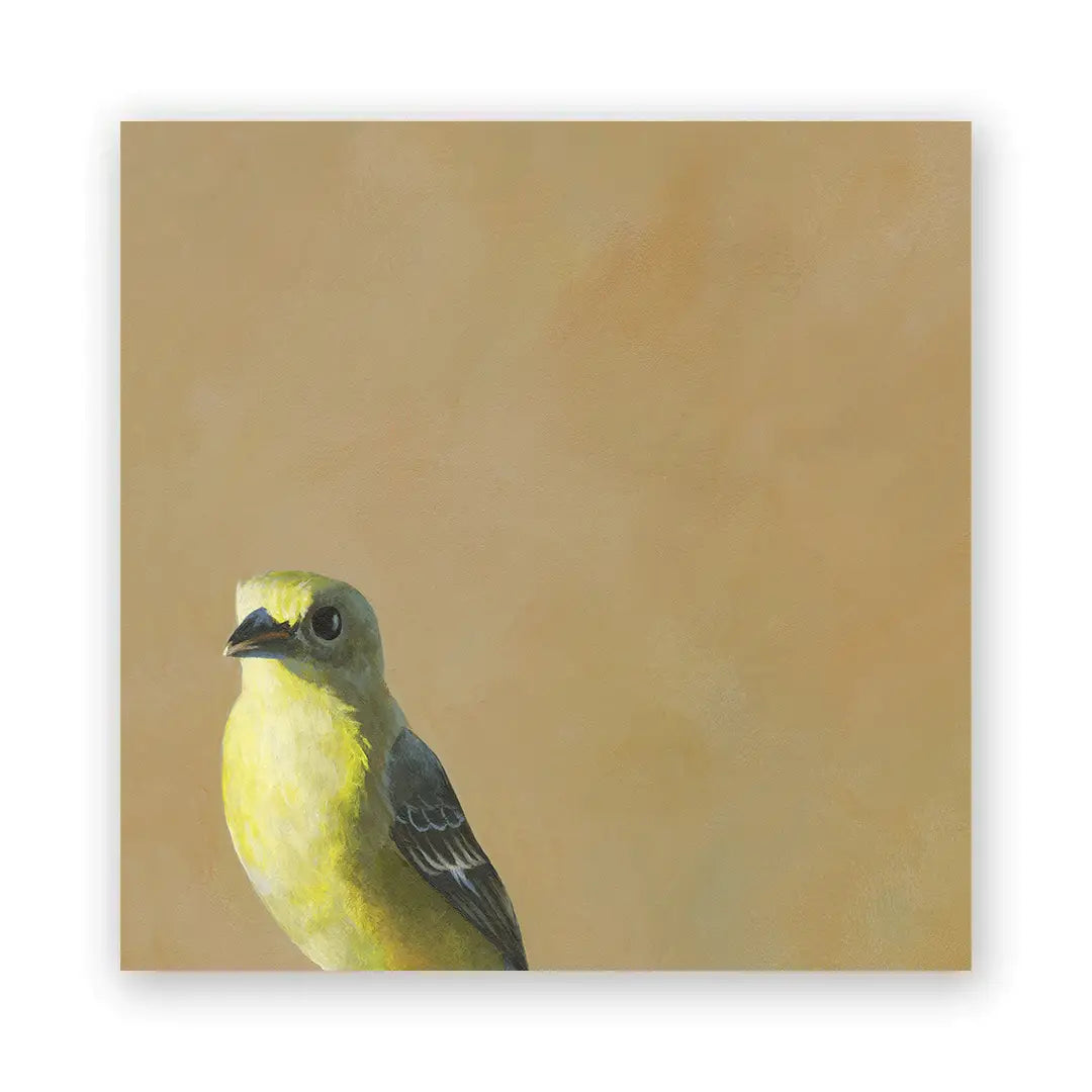 Mincing Mockingbird - Wings on Wood - 8"x 8" Woodblock Print - Goldfinch #W3023