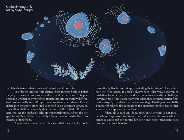Mirth & Mire FF - Myra Philips, Keelan Hansgen - Ambrosia, Volume 1, Issue 12 (Set of 2) - 20" x 16" Digital Illustration