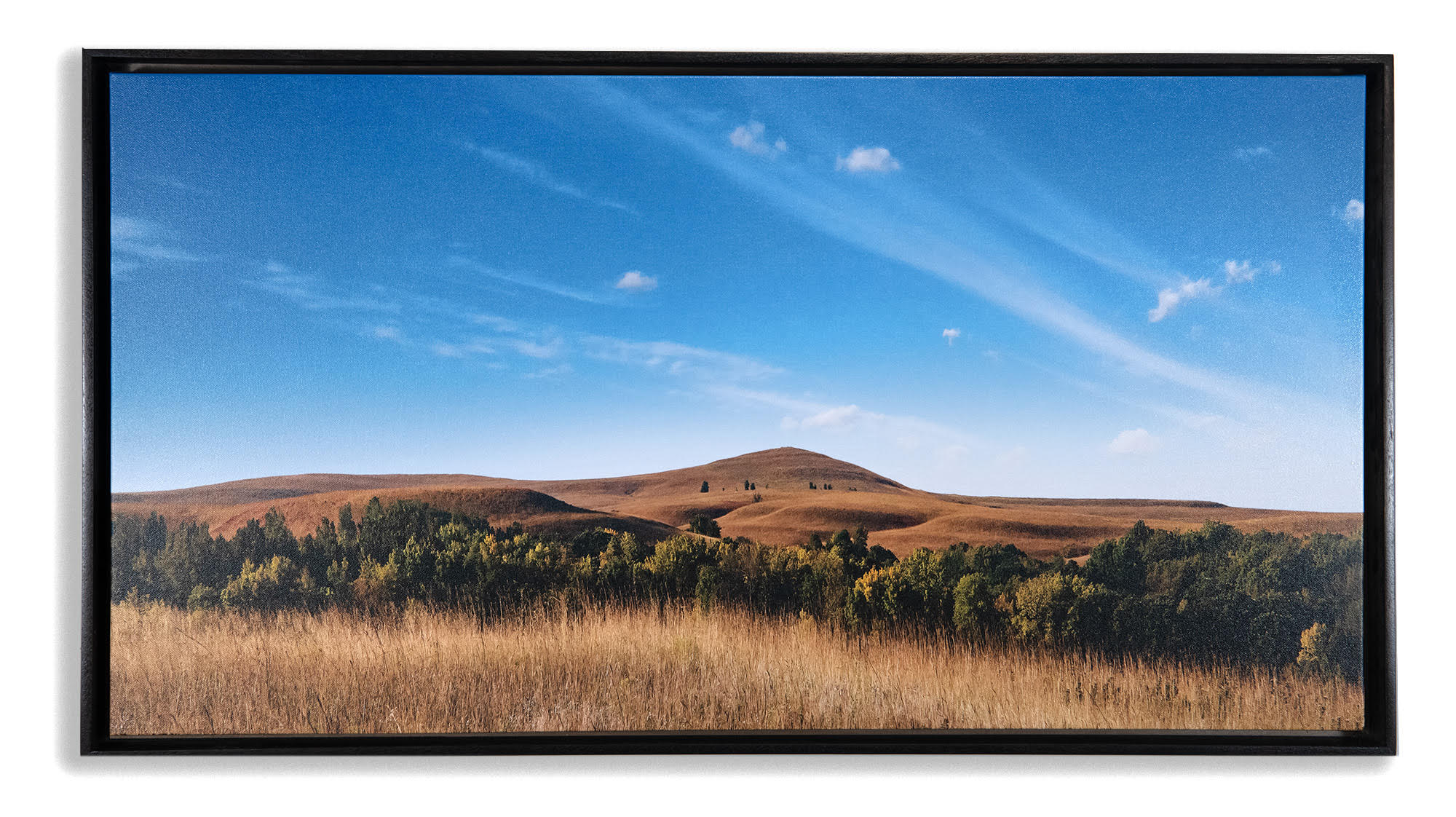 Betsy Forcade - 'Autumn Morning' - 20"x 37" Canvas Painting in Float Frame