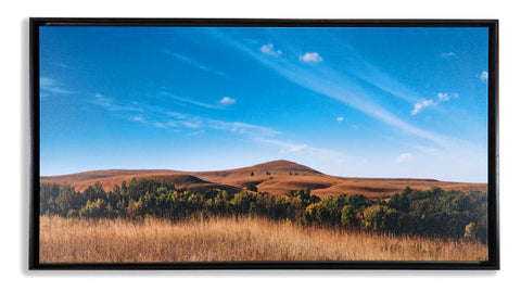 Betsy Forcade - 'Autumn Morning' - 20"x 37" Canvas Painting in Float Frame