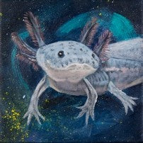 Corbello - 8"x 8" Canvas Print - 'Axolotl'