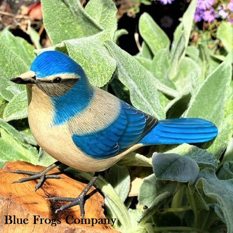 Blue Frogs Company - Bird Sculpture - Large (Western Scrub Jay) #B-113