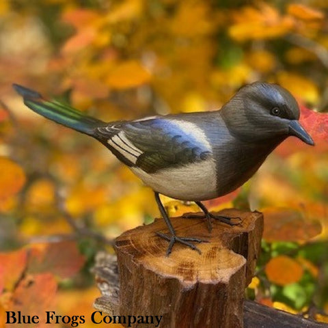 Blue Frogs Company - Bird Sculpture - Medium (Blackbilled Magpie) #B-130
