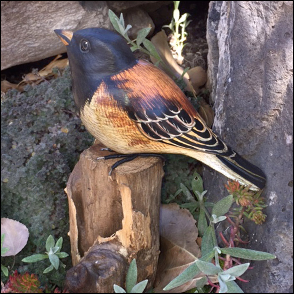 Blue Frogs Company - Bird Sculpture (Black-Headed Junco Bird) #B-38