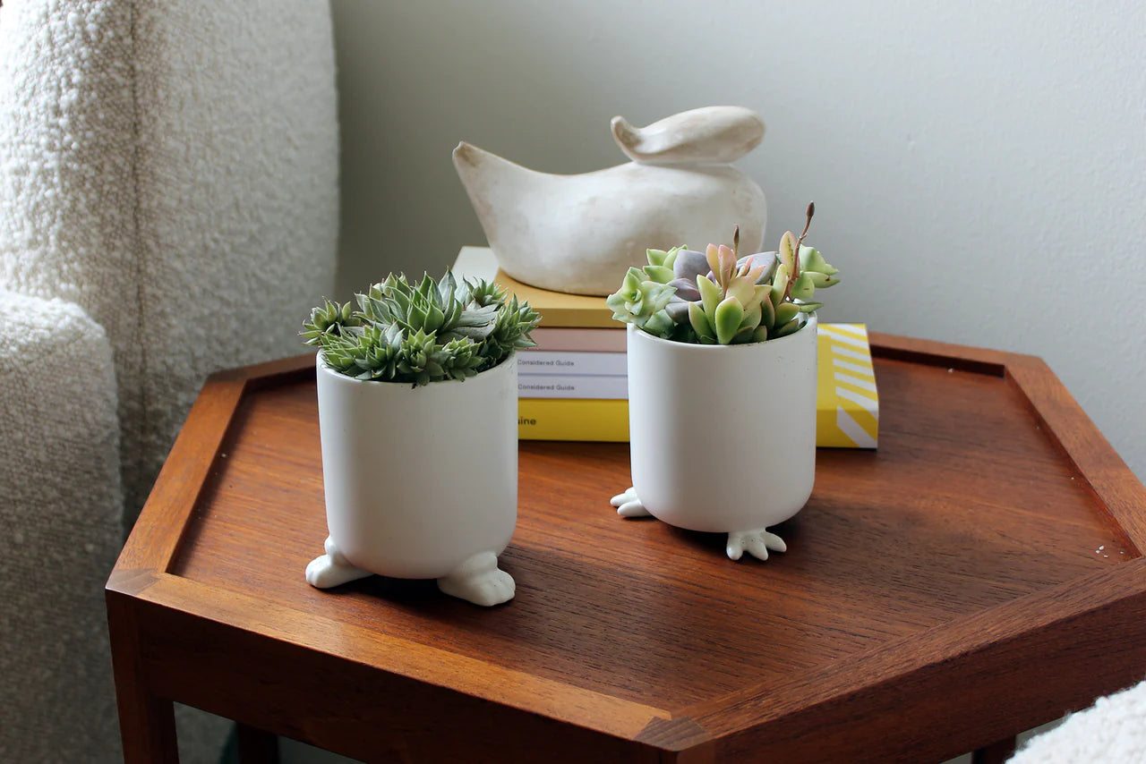 Creature Cups - Wander Pots - NOMAD