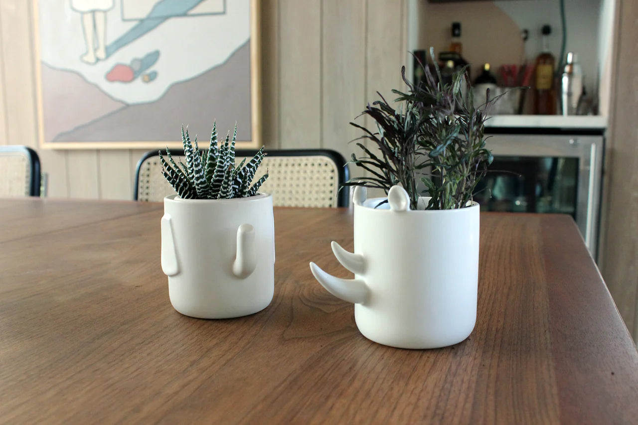 Creature Cups - Wander Pots - SAFARI