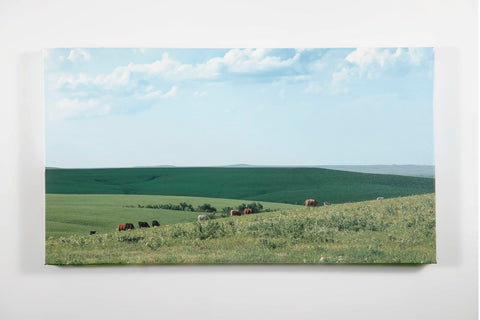 Betsy Forcade - 19" x 36" Canvas Print on Stretcher Frame - 'Feeding Green' (2025)