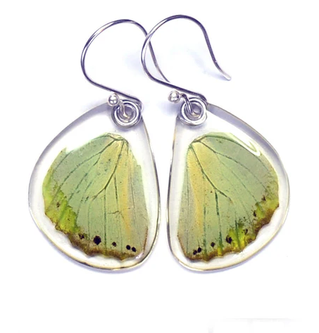 Petal Connection - Butterfly Earrings | Green Charaxes (Bottom Wing) #BU-0145-B-ER