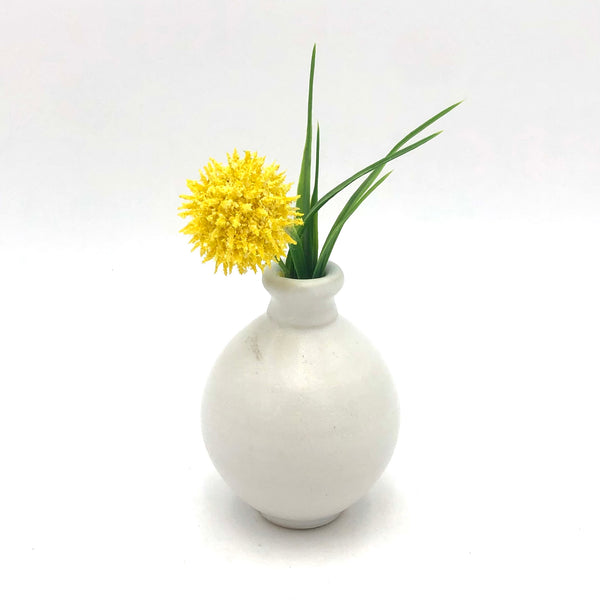 Danny Meisinger - Tiny Vase (Assorted) #DM03