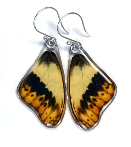 Petal Connection - Butterfly Earrings | Herminia Glider (Top Wing) #0420-T-ER