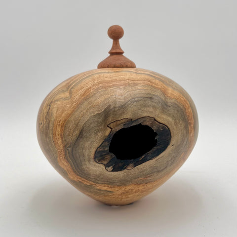 Meyer Wood Studio - Carved Wooden Urn - Hollow Form with Mesquite Cap (Spalted Maple, Mesquite) #90-23