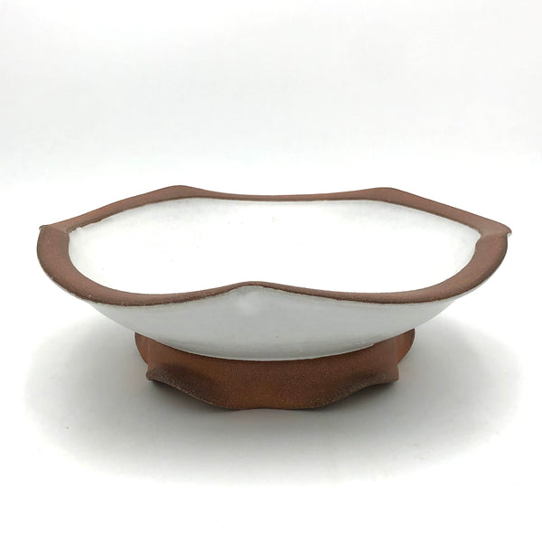 Danny Meisinger - White Bowl with Tan Edge  #DM23