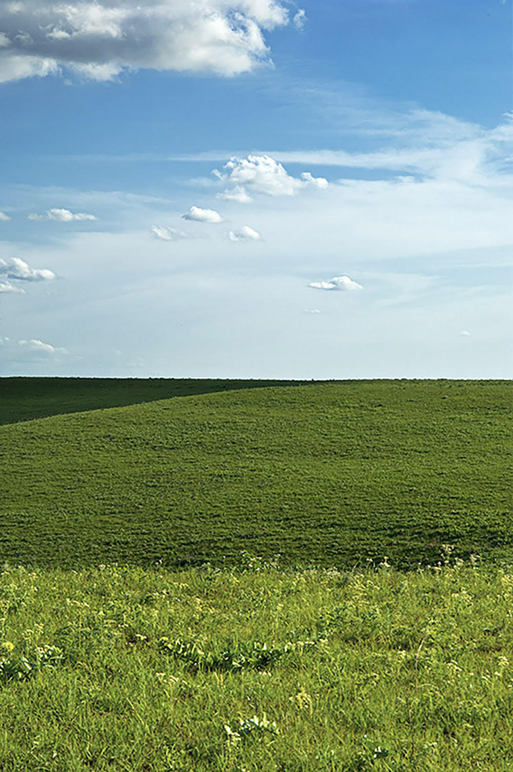 Betsy Forcade - 'Levels' (2019) - Archival Pigment Print - 11"x 16" Matted to 13"x 19"