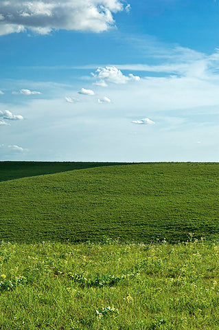 Betsy Forcade - 'Levels' (2019) - Archival Pigment Print - 11"x 16" Matted to 13"x 19"