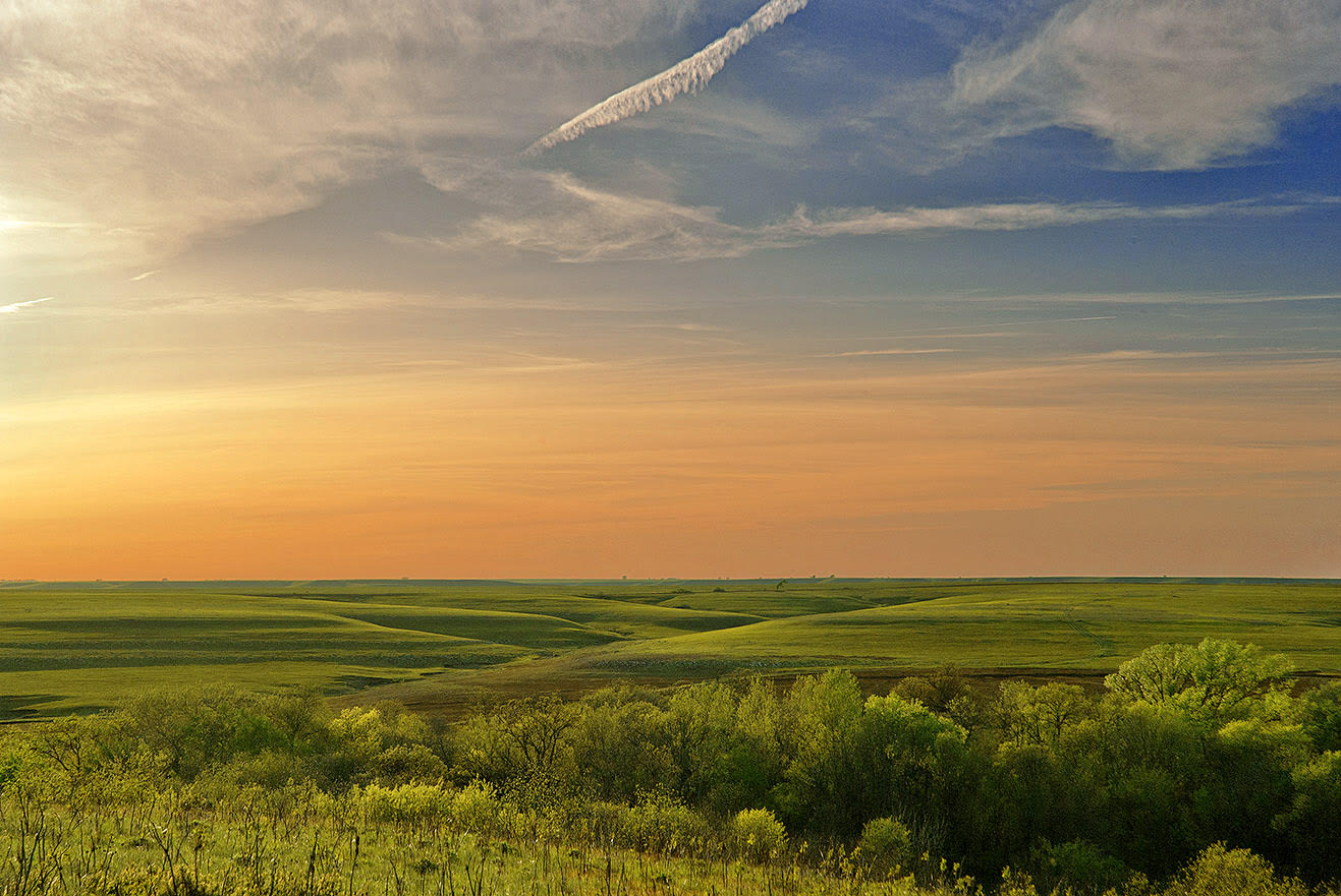 Betsy Forcade - 'Morning Blush' (2015) - Archival Pigment Print (Assorted Sizes)