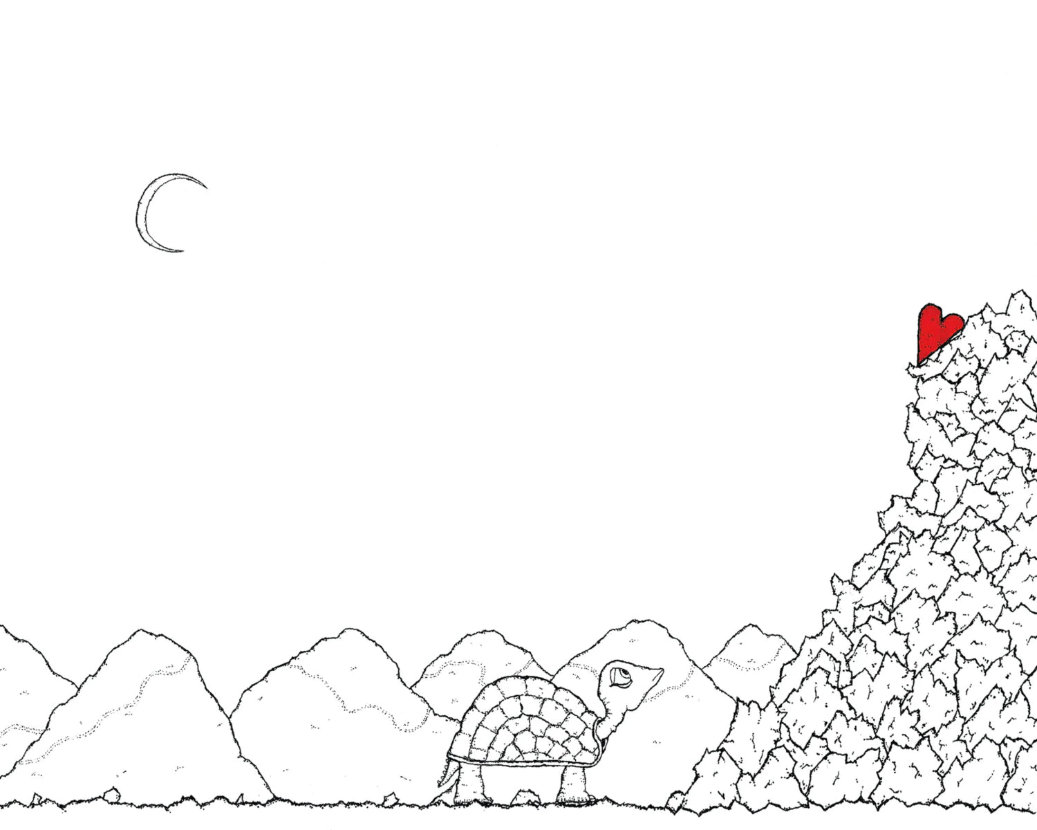 Seth Pitt - 5" x 7" Print - 'The One and Only Quest of Thomas the Turtle' #T39