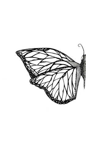 Seth Pitt - 5" x 7" Print - 'Flutterby' #F915