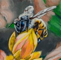 Corbello - 8"x 8" Canvas Print - 'Pollinator'