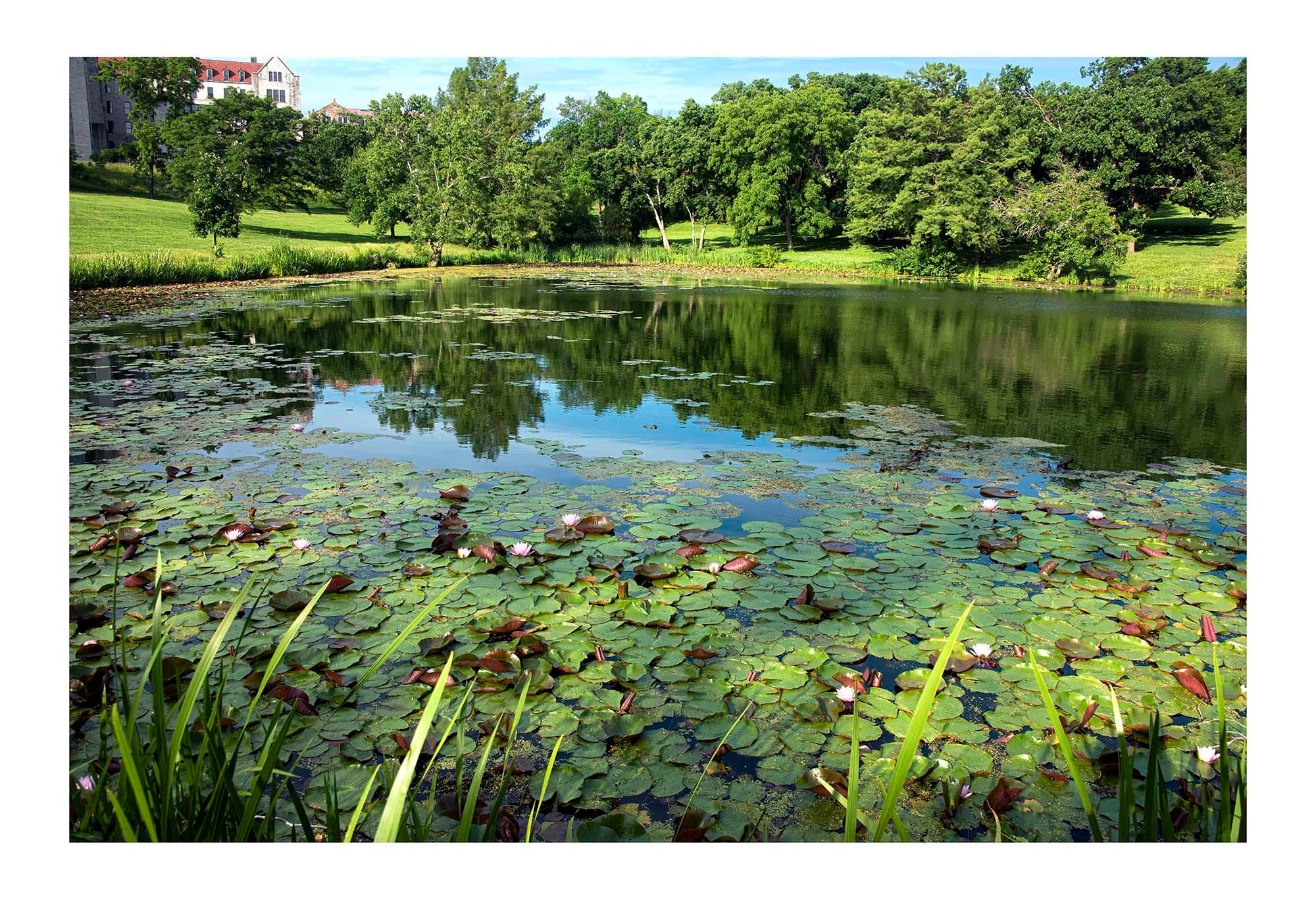 Betsy Forcade - 'Potter Lake' (2019) - Archival Pigment Print (Assorted Sizes)