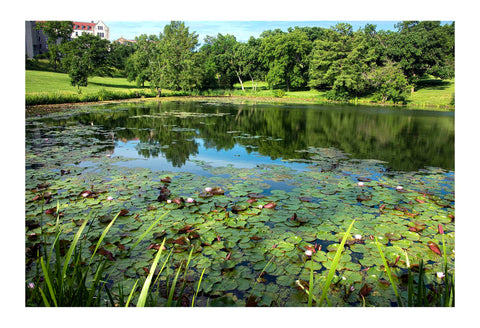 Betsy Forcade - 'Potter Lake' (2019) - Archival Pigment Print (Assorted Sizes)
