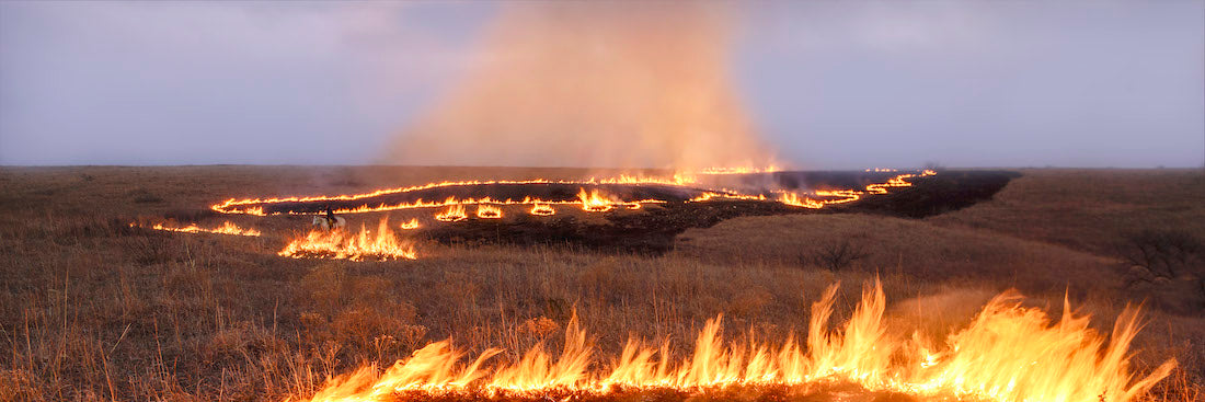 Teresa Grove - 22"x39" Framed Photograph - "Rings of Fire"