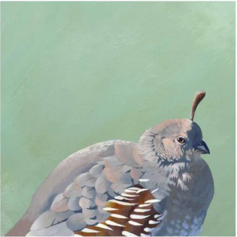 Mincing Mockingbird - Wings on Wood - Gambel's Quail - 8 x 8