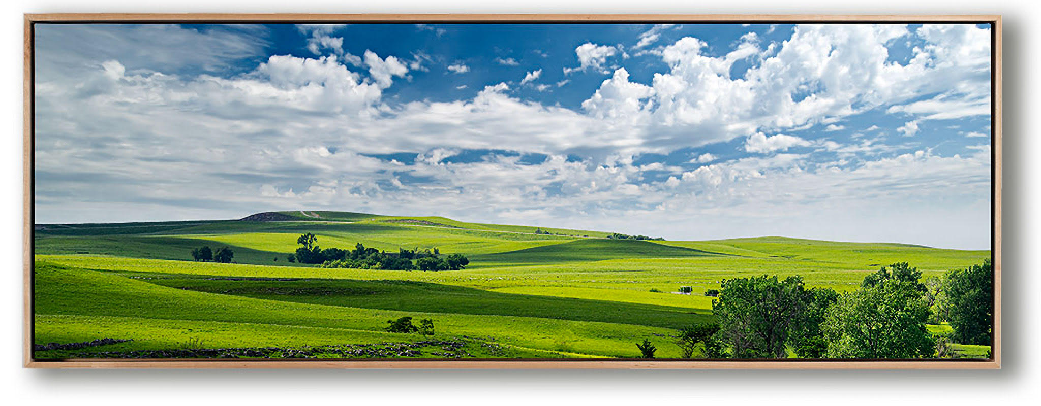 Betsy Forcade - 'Springtime Serenity' (2022) - 16.5"x 37.5" Canvas Painting in Float Frame