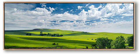 Betsy Forcade - 'Springtime Serenity' (2022) - 16.5"x 37.5" Canvas Painting in Float Frame