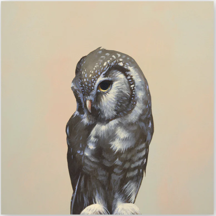 Mincing Mockingbird - Wings on Wood - 10" X 10" Print on Wood - 'Owl' #W6017