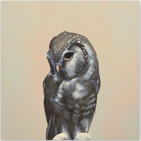 Mincing Mockingbird - Wings on Wood - 10" X 10" Print on Wood - 'Owl' #W6017