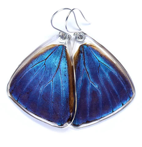Petal Connection - Butterfly Earrings | Blue Morpho Adonis (Bottom Wing) #0425-B-ER