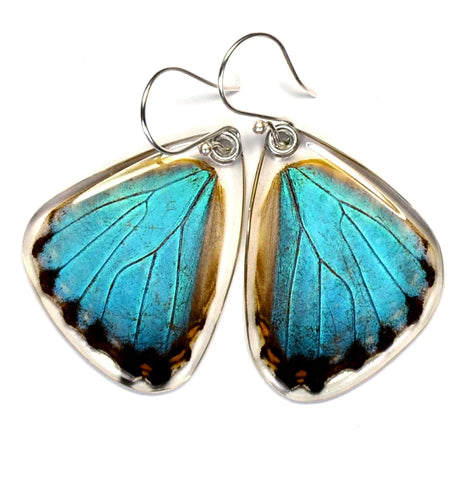 Petal Connection - Butterfly Earrings | Blue Morpho Portis (Bottom Wing) #0115-B-ER