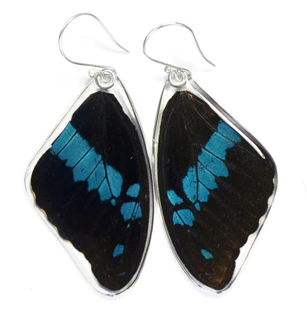 Petal Connection - Butterfly Earrings | Blue Swallowtail (Top Wing) #0280-T-ER