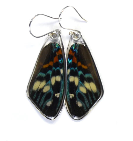 Petal Connection - Butterfly Earrings | Day Flying Moth (Top Wing) #0460-T-ER