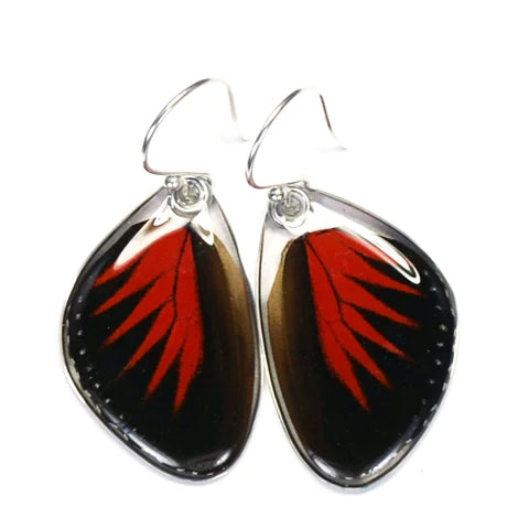 Petal Connection - Butterfly Earrings | Doris Longwing (Bottom Wing) #0255-B-ER