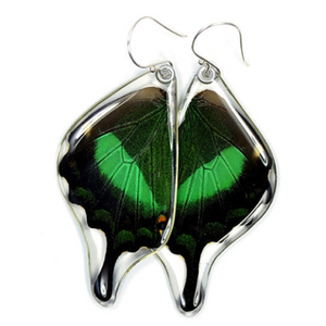 Petal Connection - Butterfly Earrings | Emerald Swallowtail (Bottom Wing) #0510-B-ER