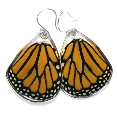 Petal Connection - Butterfly Earrings | Monarch (Bottom Wing) #0170-B-ER