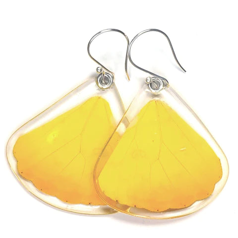 Petal Connection - Butterfly Earrings | Orange-Barred Sulphur (Bottom Wing) #0070-B-ER