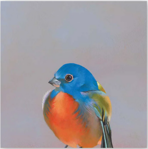 Mincing Mockingbird - Wings on Wood - 6"x6" Woodblock Print - 'Bluebird' #W1024