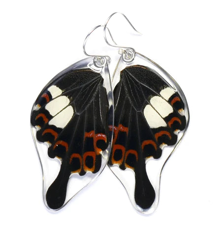 Petal Connection - Butterfly Earrings | Red Helen Swallowtail (Bottom Wing) #0350-B-ER