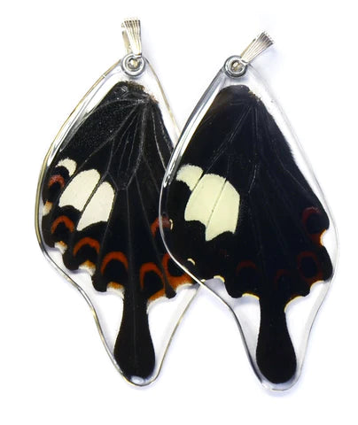 Petal Connection - Butterfly Earrings | Red Helen Swallowtail (Top Wing) #0350-T-ER