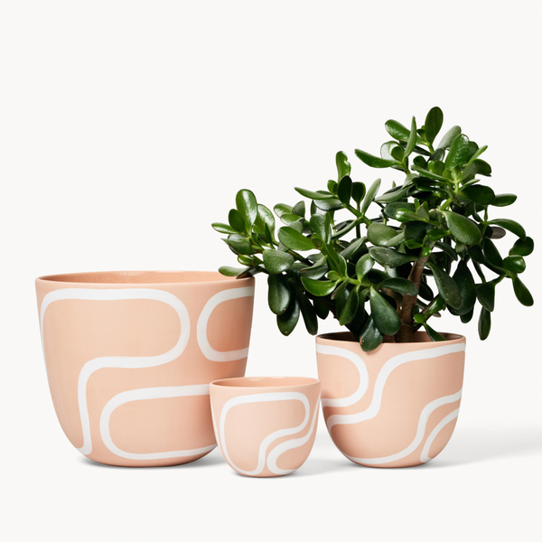 Franca NYC - Ceramic Planter - Small (Blush, White Outline) #PLNT-S-BL-OTLN