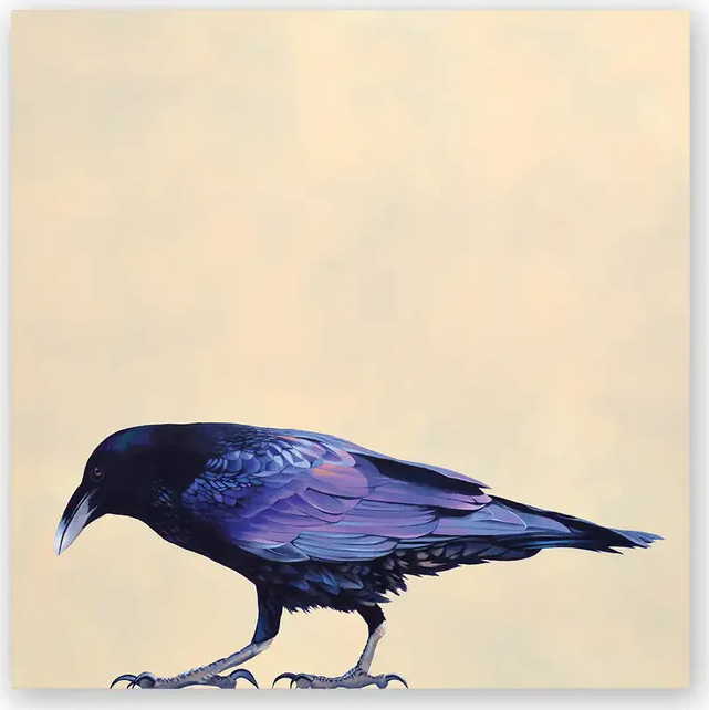 Mincing Mockingbird - Wings on Wood - 10" X 10" Print on Wood - 'Raven' #W6015