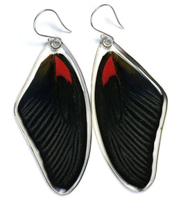 Petal Connection - Butterfly Earrings | Scarlet Mormon (Top Wing) #0320-T-ER