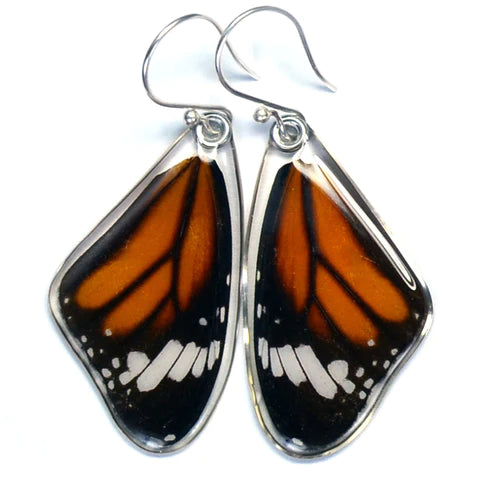 Petal Connection - Butterfly Earrings | Striped Tiger Butterfly (Top Wing) #0090-T-ER
