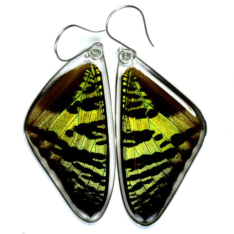 Petal Connection - Butterfly Earrings | Sunset Butterfly (Top Wing) #0055-T-ER