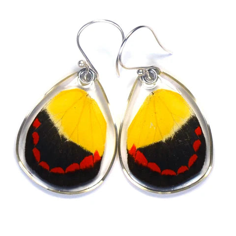 Petal Connection - Butterfly Earrings | Timor Butterfly (Bottom Wing) #0375-B-ER