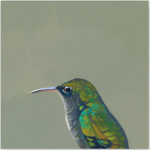 Mincing Mockingbird - Wings on Wood - 4"x 4" Woodblock Print - 'Female Violet Sabrewing Hummingbird' #W0017