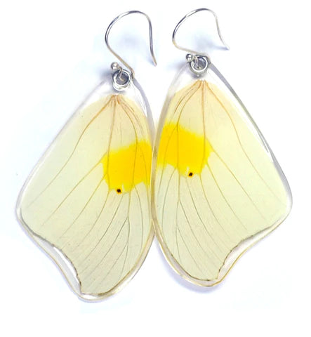 Petal Connection - Butterfly Earrings | White Angled Sulphur (Top Wing) #0325-T-ER